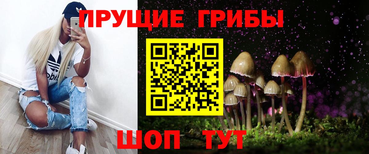 Галлюциногенные грибы Magic Shrooms  закладка  Северобайкальск  Вход с VPN 