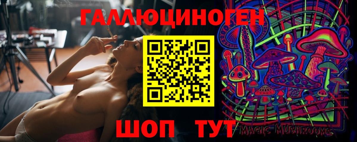Псилоцибиновые грибы прущие грибы Северобайкальск